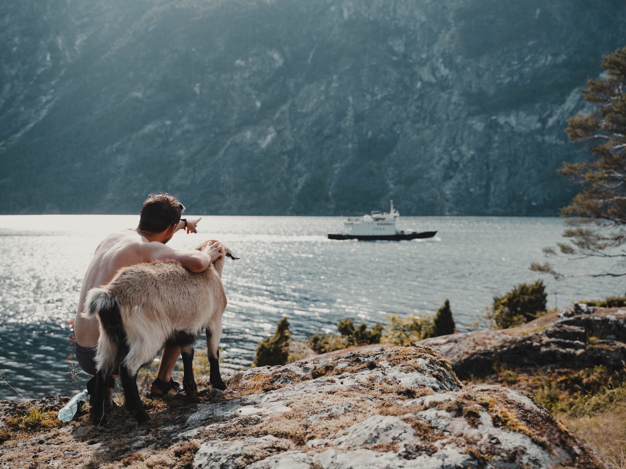 men hugging a goat and looking at a cruise - Kayaking - Norway fjord - hiking in Norway - kayaking - from Brussels airport